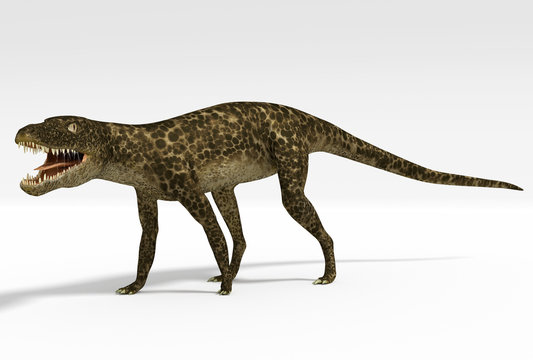 An illustration of Hesperosuchus, an extinct genus of crocodylomorph reptile that contains a single species, Hesperosuchus agilis. Remains of this sphenosuchian have been found in Late Triassic strata