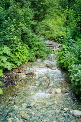 Fototapeta premium The mountain river. Village Dombay, Russia