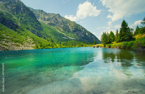 Летняя природа у озера бесплатно