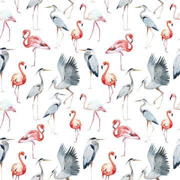 Flamngo and heron pattern