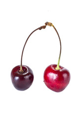 Sweet cherry