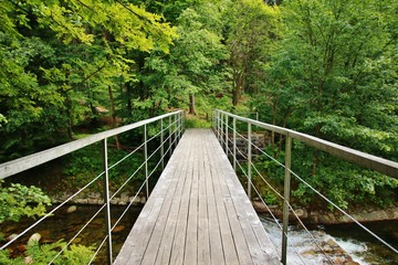 The wooden bridge over mountain river