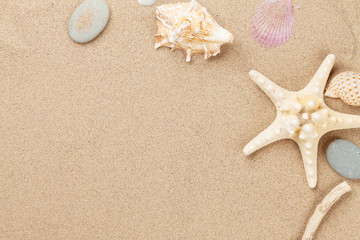 Fototapeta na wymiar Sea sand with starfish and shells