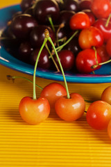 Fresh cherries in the plate on yellow background