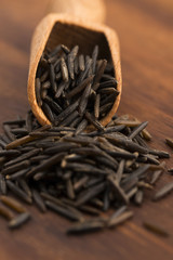 Fototapeta premium wild rice