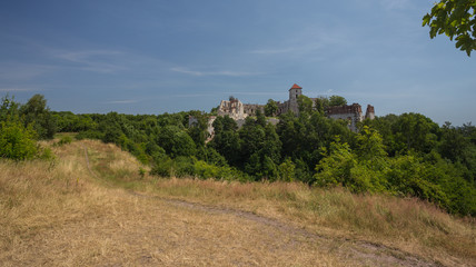 Castle in Poland ( Tenczynek castle) Cracow