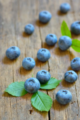 Blueberry on old wood