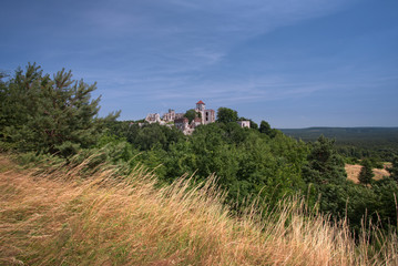 Fototapeta na wymiar Zamek w Tenczynku - Jura krakowsko-częstochowska