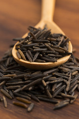 wild rice