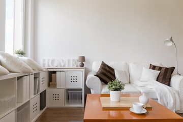 Stylish white apartment