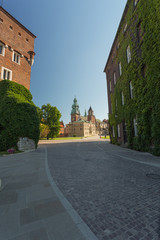 Fototapeta na wymiar Cracow / Wawel Castle