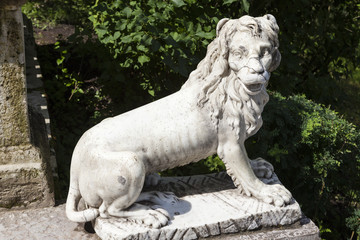 Fototapeta na wymiar Мраморный лев на Большой каменной лестнице в дворцовом парке. Павловск