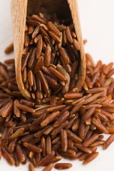 red rice