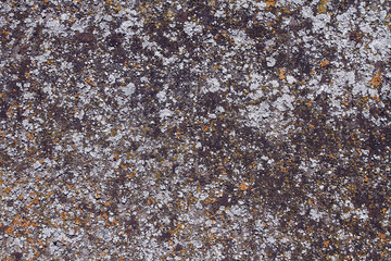 texture