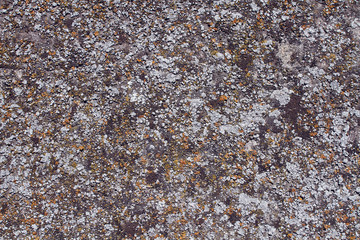 texture