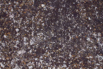 texture