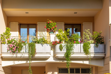 Fototapeta na wymiar windows with flower pots