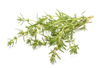 Thyme isolated on white background