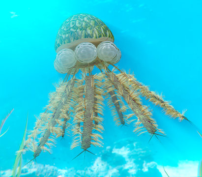 An illustration of colonies of Graptolites (Diplograptus) floating in an Ordovician Sea (circa 505 to 438 million years ago).