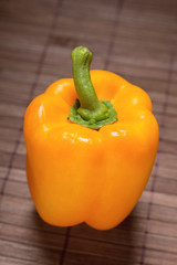 Orange Paprikaschote