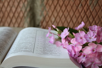 The Bible and fresh flowers