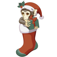 Monkey in Christmas stocking with a gift
