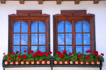 Two Windows and Flowers