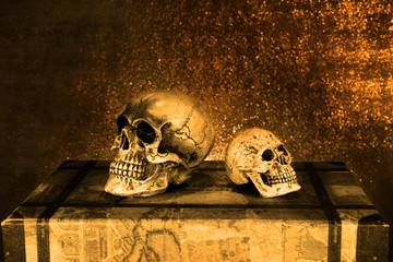 Skull model ; Digital art