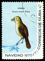 Stamp.  Bird Zapata Wren.