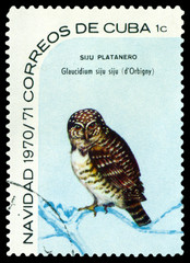 Stamp.  Bird  Cuban pygmy owl.