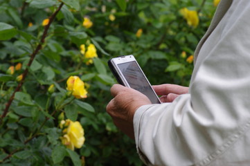 Mature woman with mobile phone in hand in a garden.