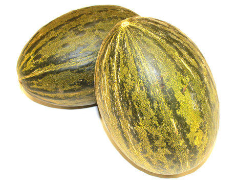 melons