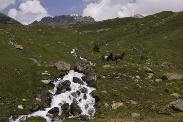 Alp Flix &ndash; Wandern in den Alpen