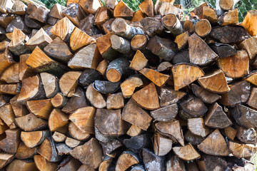 Dry logs stacked in a pile in the garden