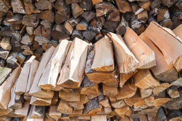 Dry logs stacked in a pile in the garden
