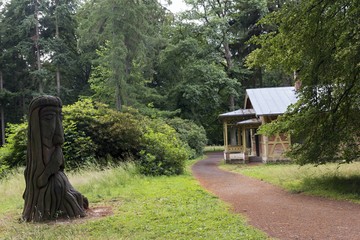forest