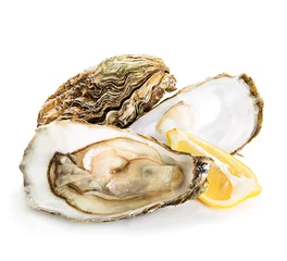 Gordijnen Oysters isolated on a white background © yvdavid