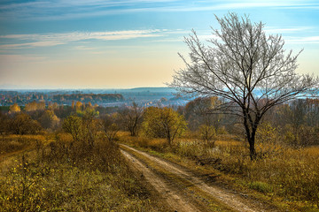 Fototapeta na wymiar Autumn forest near Volga river, Russia