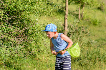 Boy with Catcher Net Looking for Insects to Catch