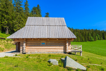 Fototapeta premium Wooden house on green meadow in summer, Tatra Mountains, Poland