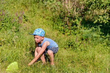 Naklejka na ściany i meble Boy with Catcher Net Looking for Insects to Catch