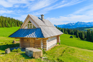Wooden house on green meadow in summer, Tatra Mountains, Poland