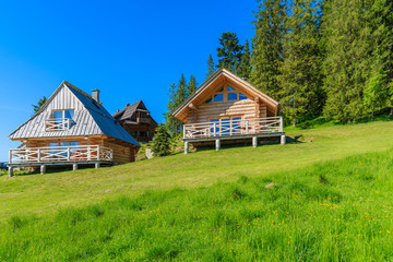 Fototapeta na wymiar Wooden houses on green meadow in summer, Tatra Mountains, Poland