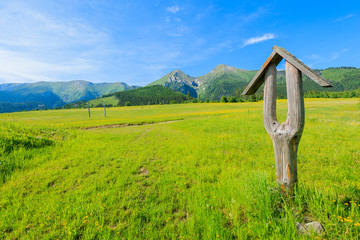 Fototapeta na wymiar Wooden hiking trail sign on green meadow in summer landscape of Tatra Mountains, Slovakia
