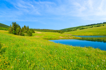 Green meadow with flowers and beautiful lake in summer landscape of Tatra Mountains, Slovakia