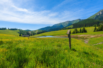 Wooden hiking trail sign on green meadow in summer landscape of Tatra Mountains, Slovakia