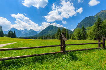 Fototapeta na wymiar Wooden fence on on green meadow in summer landscape of High Tatra Mountains, Slovakia