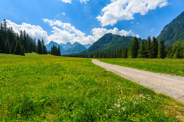 Hiking trail in green summer landscape of High Tatra Mountains, Slovakia