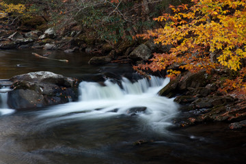 Mountain stream over rocks in the fall