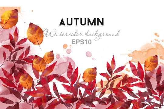 Watercolor Vector Autumn Background